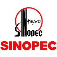Company Profile Logo