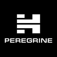Company Profile Logo