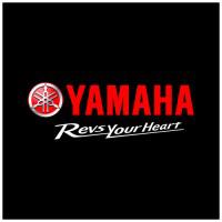 Company Profile Logo