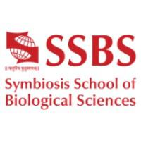 Company Profile Logo