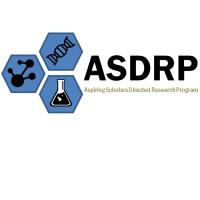 Company Profile Logo