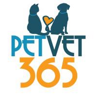 Company Profile Logo