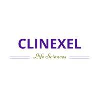 Company Profile Logo
