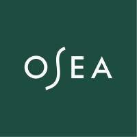 Company Profile Logo