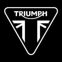 Company Profile Logo