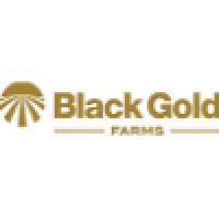 Company Profile Logo