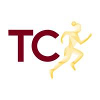 Company Profile Logo