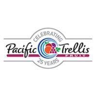 Company Profile Logo