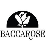 Company Profile Logo