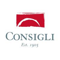 Company Profile Logo