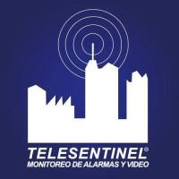 Company Profile Logo