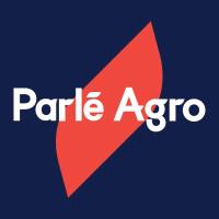 Company Profile Logo