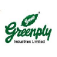 Company Profile Logo