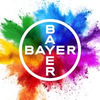 Company Profile Logo