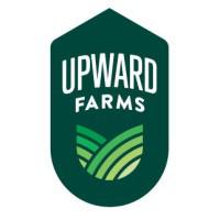 Company Profile Logo
