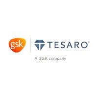 Company Profile Logo