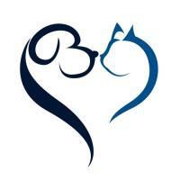 Company Profile Logo