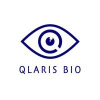 Company Profile Logo