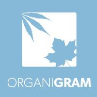 Company Profile Logo