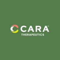 Company Profile Logo