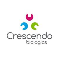 Company Profile Logo