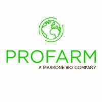 Company Profile Logo