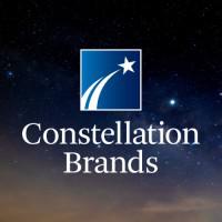 Company Profile Logo