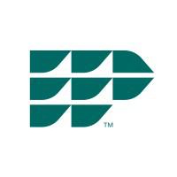 Company Profile Logo