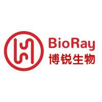 Company Profile Logo