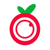 Company Profile Logo