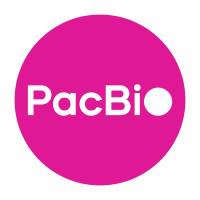 Company Profile Logo
