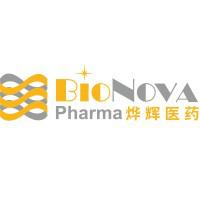 Company Profile Logo