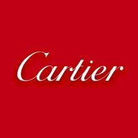 Company Profile Logo