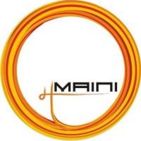 Company Profile Logo