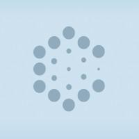 Company Profile Logo