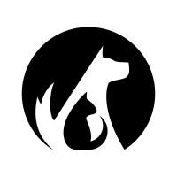 Company Profile Logo