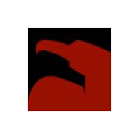 Company Profile Logo
