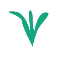 Company Profile Logo