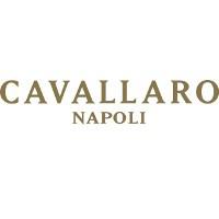 Company Profile Logo