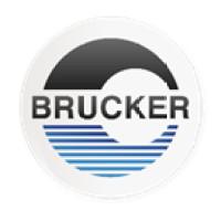 Company Profile Logo