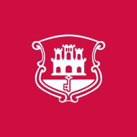 Company Profile Logo